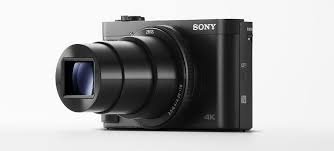 Sony High Zoom Point & Shoot Camera